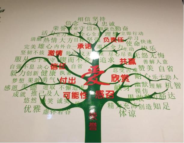 第一娱乐的企业文化之一：让爱心之树长青